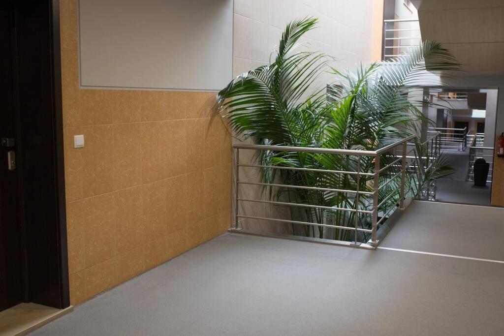 Bay Residence Apartamento - Piscina Sao Martinho do Porto Εξωτερικό φωτογραφία